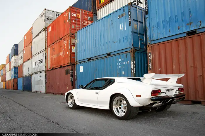 pantera_14