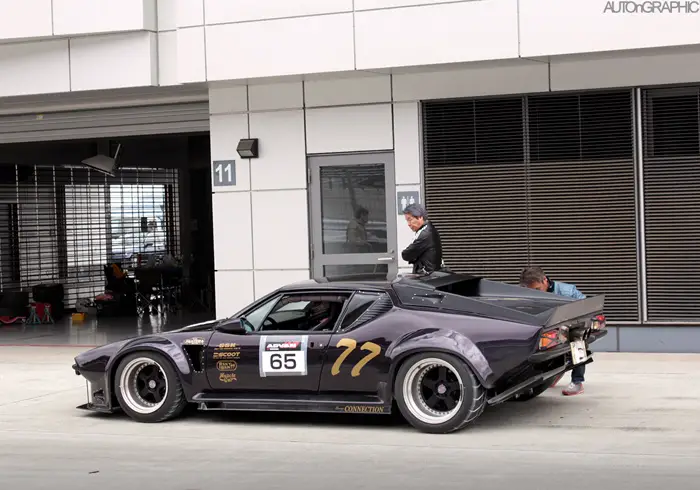 pantera_16