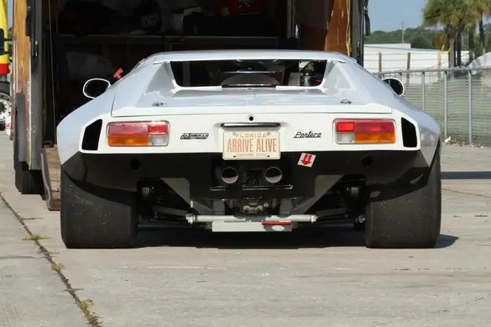 pantera_21