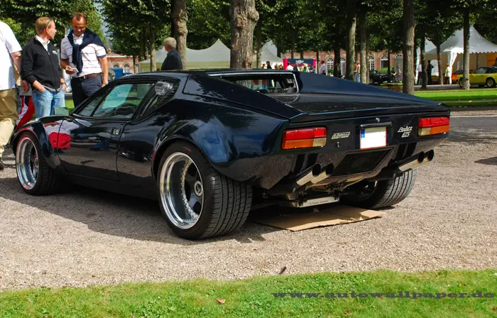 pantera_22