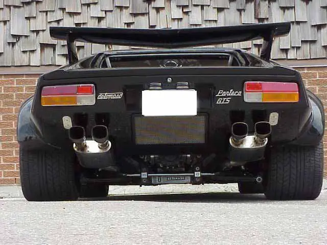 pantera_5