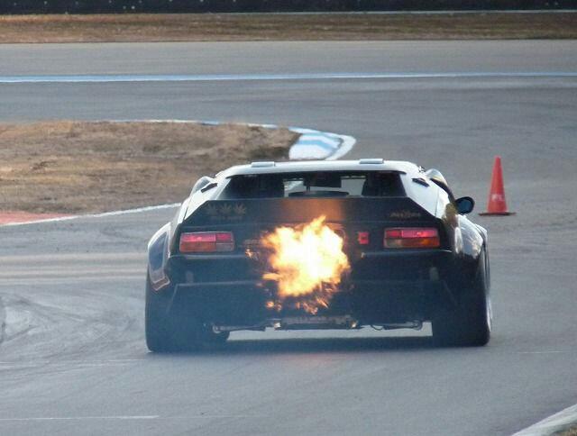 pantera_6