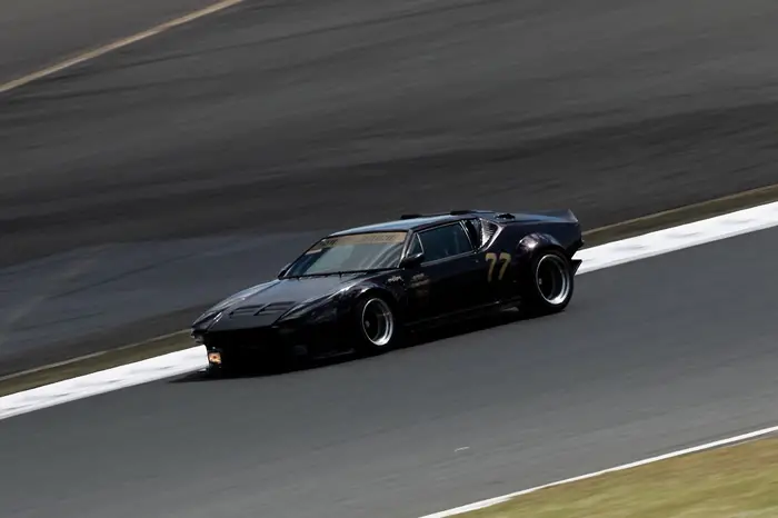 pantera_7