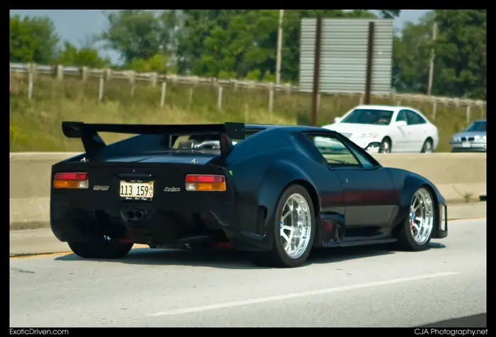 pantera_8