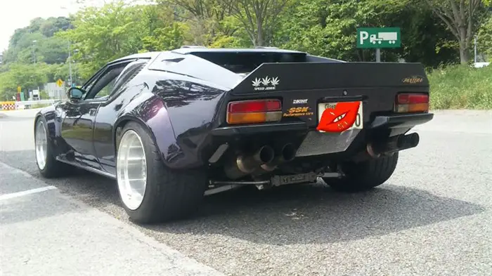 pantera_9