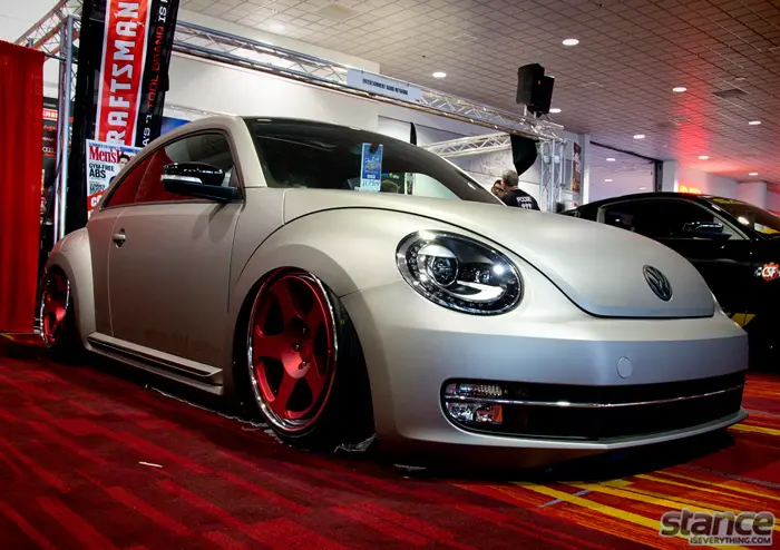 rotiform_beetle