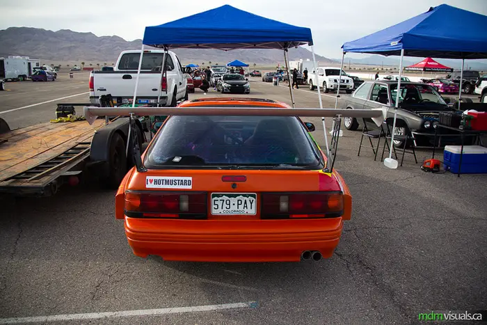 paddock_2