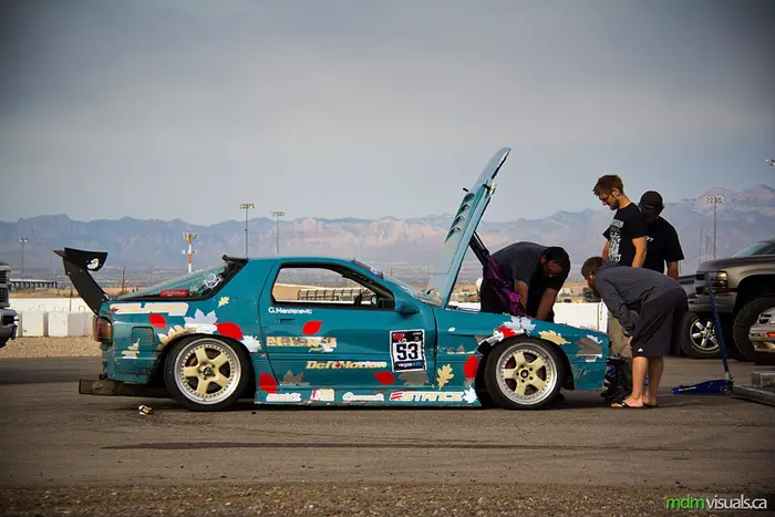 paddock_5