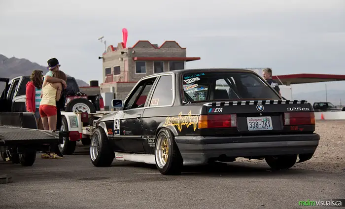 paddock_6