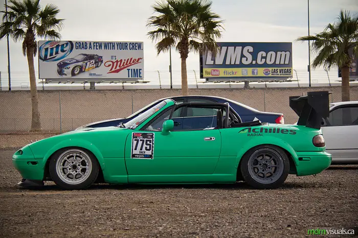 paddock_7