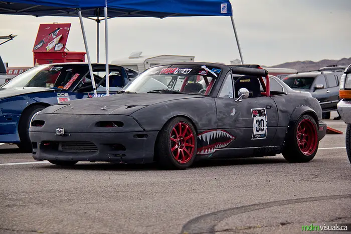 paddock_8