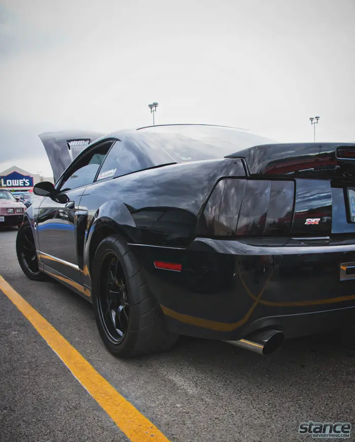 mustang_whipple_1
