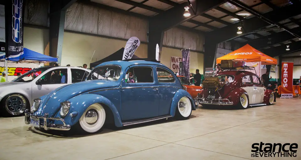 fitted_2014_beetles