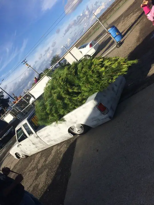 haulin_8