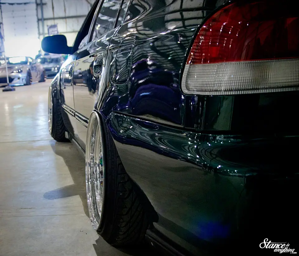 fitted-toronto-2015-team-mayzn-el-rear-detail
