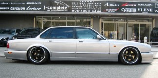 Theme Tuesdays: Jaguars