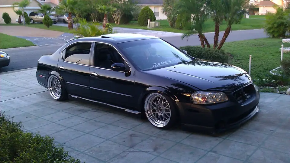 maxima12