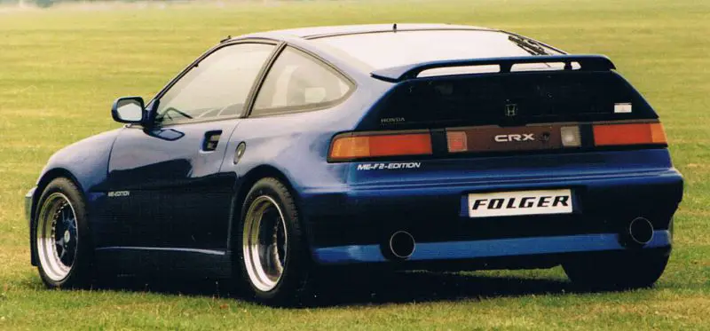 crx-mef2