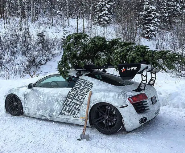 tistheseason6_poddymallett