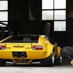 pantera