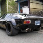 pantera-pinterest
