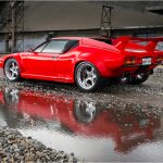 pantera-red-wildpantera2