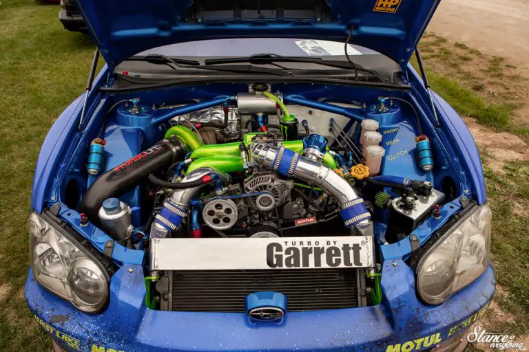 Not Your Average Blobeye Not Your Average Blobeye