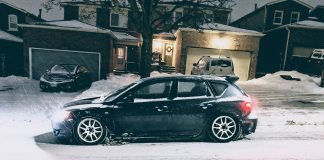 Winter Wednesdays: Surviving